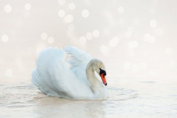 60萬重疾險(xiǎn)多少錢一年