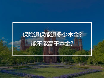 保險退保能退多少本金？能不能高于本金？