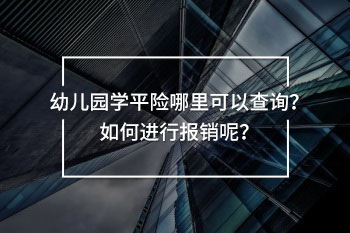 幼兒園學(xué)平險(xiǎn)哪里可以查詢