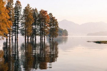 重疾險(xiǎn)是買(mǎi)消費(fèi)型好還是終身型好