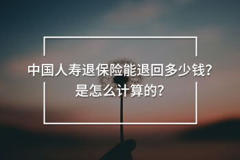 中國人壽退保險能退回多少錢？是怎么計算的？