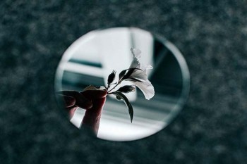 為什么都退保險(xiǎn)？什么情況可以退保險(xiǎn)？