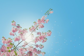 幫退保人全額退保違法嗎？要有證據(jù)嗎？