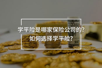 學平險是哪家保險公司的