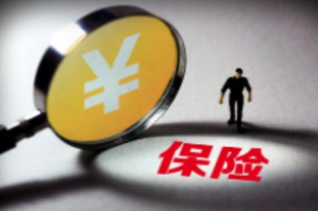 小學(xué)生學(xué)平險都保什么