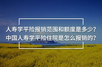 人壽學(xué)平險(xiǎn)報(bào)銷范圍和額度