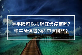 學平險可以報銷狂犬疫苗嗎