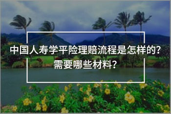 中國人壽學(xué)平險理賠流程