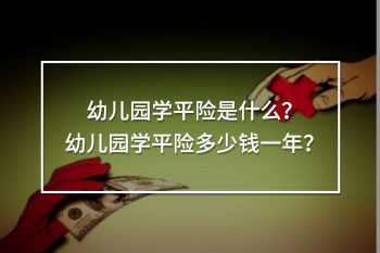 幼兒園學(xué)平險(xiǎn)多少錢(qián)一年