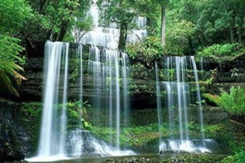 學(xué)平險(xiǎn)和醫(yī)保哪個(gè)報(bào)銷(xiāo)多