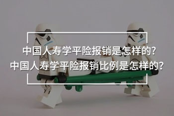 中國人壽學平險報銷比例