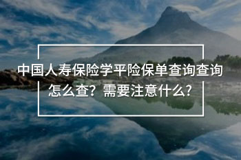中國(guó)人壽保險(xiǎn)學(xué)平險(xiǎn)保單查詢
