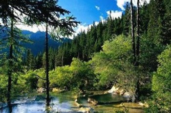 學(xué)平險的投保年齡范圍