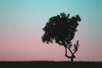 住院無憂保障計劃（續(xù)保版）怎么買？適合誰來買？