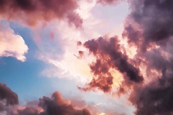 到保險(xiǎn)公司退保需要什么材料