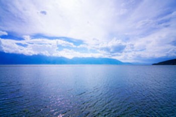 保險(xiǎn)可以提前退保嗎