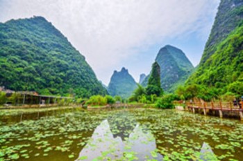 學(xué)校學(xué)平險報銷需要什么材料