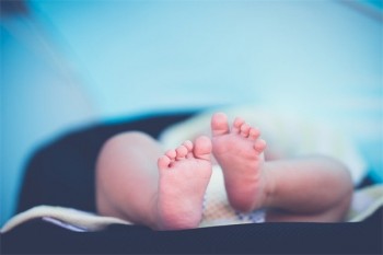 太平人壽如何申請退保險