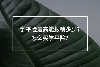 學(xué)平險最高能報銷多少