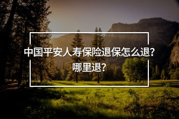 中國(guó)平安人壽保險(xiǎn)退保怎么退？哪里退？