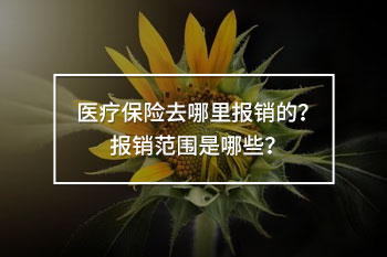 醫(yī)療保險(xiǎn)去哪里報(bào)銷的