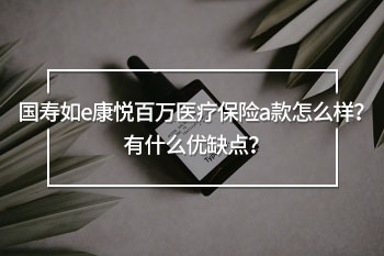 國壽如e康悅百萬醫(yī)療保險a款怎么樣？有什么優(yōu)缺點？