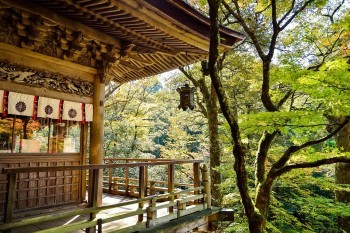 京心保防癌醫(yī)療險(xiǎn)怎么樣？值得買嗎？