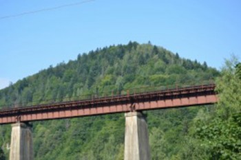 http://z5swt.cn/42102.html