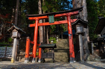 祥和定期保險(xiǎn)滿(mǎn)期了返本嗎？值得買(mǎi)嗎？