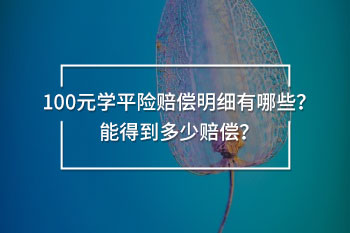 100元學(xué)平險賠償明細(xì)有哪些？能得到多少賠償？