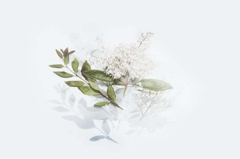 消費(fèi)型重疾險可以保終身嗎？應(yīng)該如何<a href=