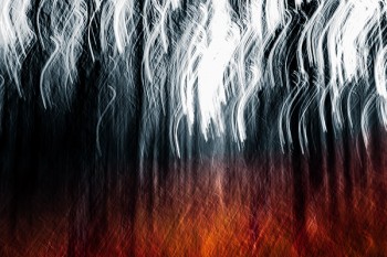 泰康保險(xiǎn)怎樣全額退保？要注意什么才能全額退保？