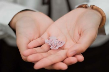媽咪保貝怎么樣？有哪些優(yōu)缺點(diǎn)？