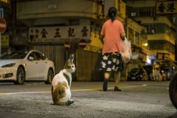 家庭醫(yī)療保險