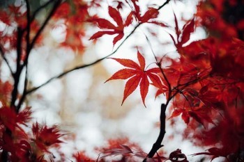 超越保2020醫(yī)療保險(xiǎn)和好醫(yī)保有什么區(qū)別？哪個(gè)好？