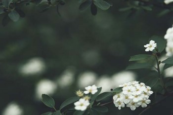 信泰人壽達(dá)爾文3號(hào)和超級(jí)瑪麗3號(hào)max哪款性?xún)r(jià)比高？分別有什么優(yōu)勢(shì)?