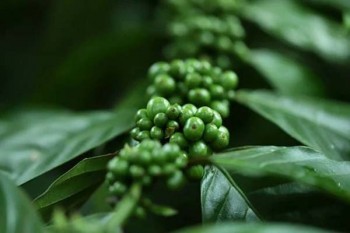 少兒守護(hù)百分百這個(gè)保險(xiǎn)怎么樣？值得買嗎？