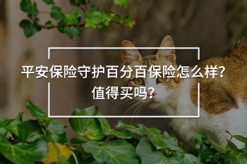 平安保險(xiǎn)守護(hù)百分百保險(xiǎn)怎么樣？值得買嗎？