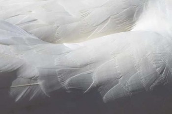 好醫(yī)保長期醫(yī)療怎么樣有報(bào)銷過的沒有？值得買嗎？