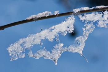 醫(yī)療保險(xiǎn)是啥