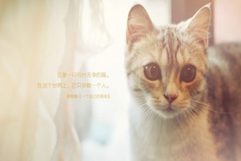 大病保險(xiǎn)哪家好