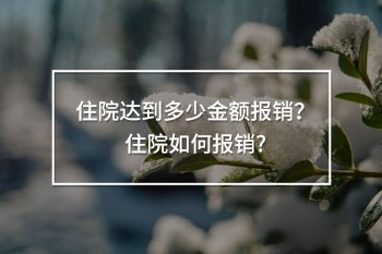 住院達(dá)到多少金額報銷