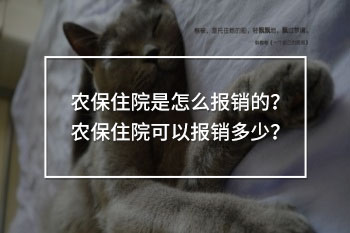 農(nóng)保住院可以報銷多少