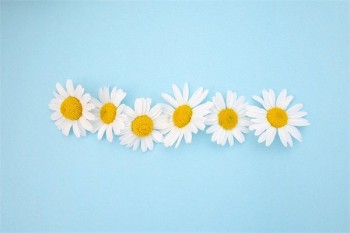 惠民百萬醫(yī)療保險