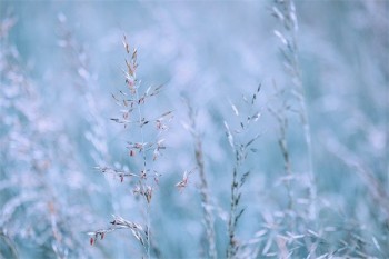 大病互助補充醫(yī)療保險是什么