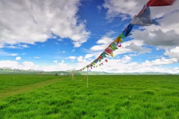 保險補充醫(yī)療