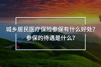 城鄉(xiāng)居民醫(yī)療保險參保