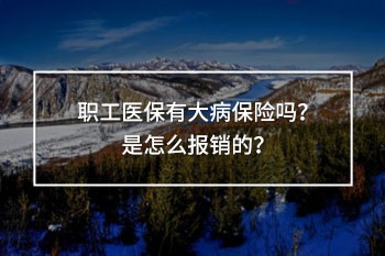 職工醫(yī)保有大病保險(xiǎn)嗎