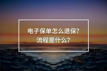 電子保單怎么退保？流程是什么？