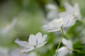 易安企業(yè)團體意外險優(yōu)缺點有哪些？值得買嗎？
